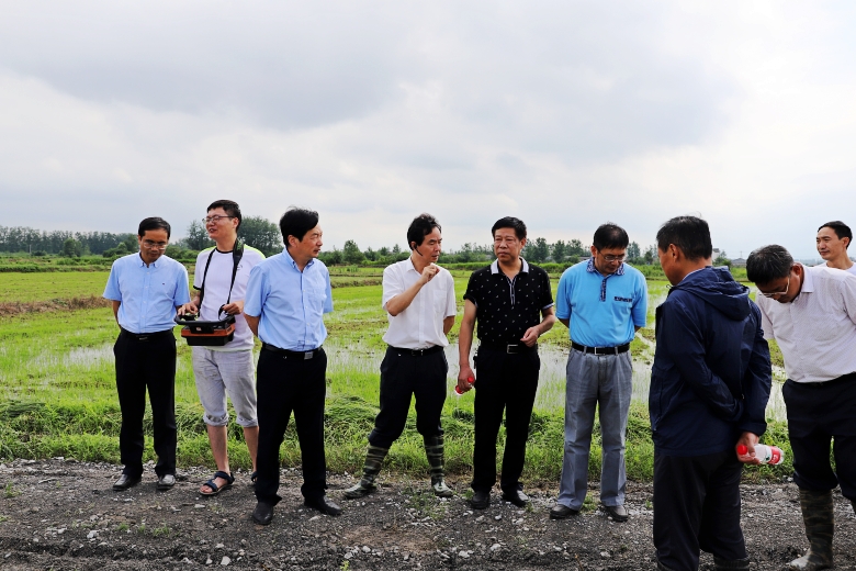 六合区程桥街道金庄社区中江种业示范田基地—智慧农业现场